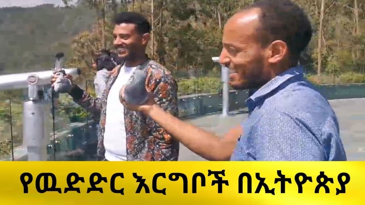 የውድድር እርግቦች ከእንጦጦ ፖርክ