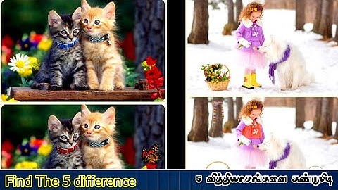 Can you spot it | game