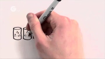 See How Your Small Actions Lead to Big Changes