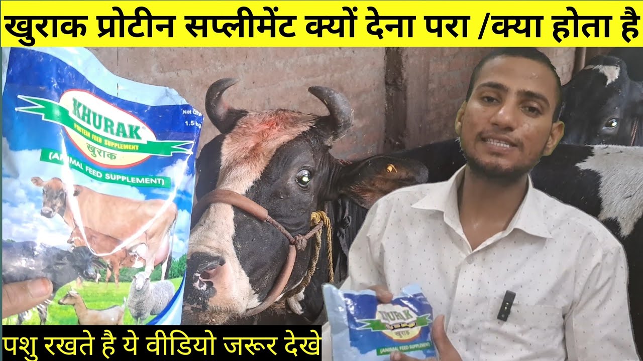 khurak protein feed supplement, अपने पशुओं को क्यों देना परा /फायदे, उपयोग , दाम क्या है ,कैसे खिलाए
