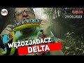 Wężozjadacz Delta - NRFlash (29.05.2023) (polskie napisy / english subtitles)