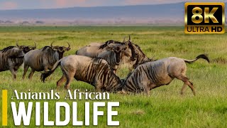 4K African Animals: Mudumu National Park, Africa, Scenic Wildlife Film With African Music