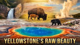 What Yellowstone Looked Like Before Its Catastrophic Floods