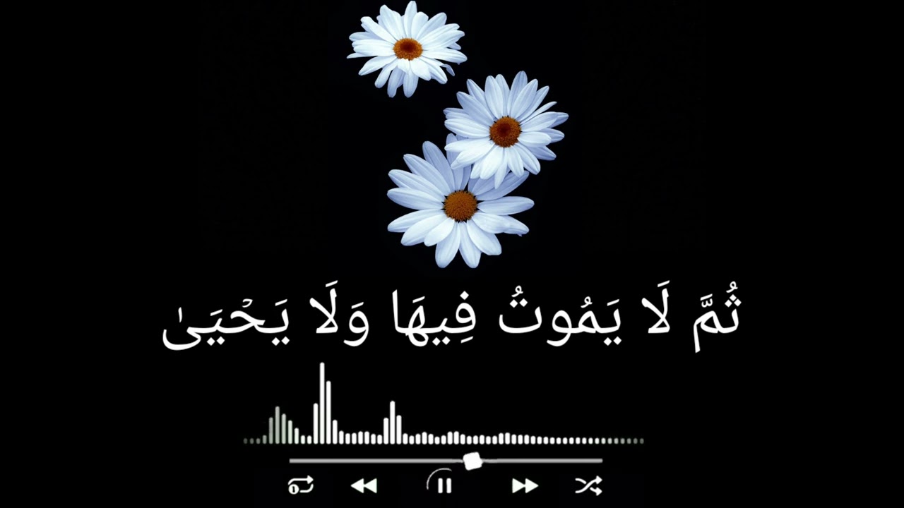 سورة الأعلى بصوت عبدالرحمن مسعد || قرآن كريم || حالات واتس اب قران Surah Al-Ala Abdul Rahman Massad