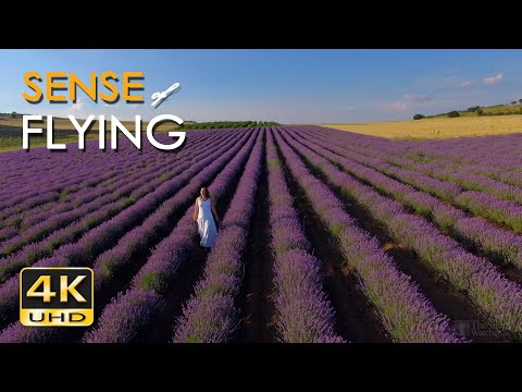 4K Sense of Flying - 1 Hour Relaxing Flight Scenes & Soothing Guitar Music - UHD Aerial Drone Video