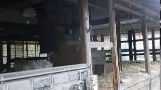 CIMG4157