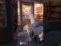 llama robber-🦙#funny #comedy