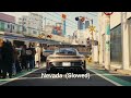 Nevada Slowed X Cars 