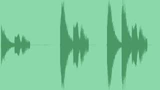 Glock Pistol Gun Shot Sound Effects