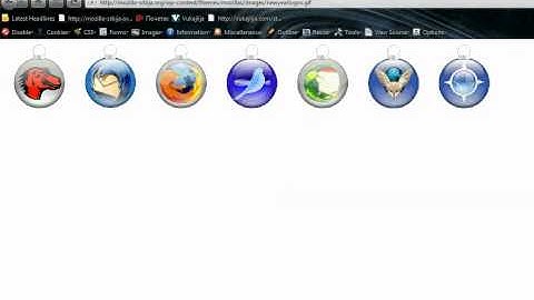 Firefox 4 beta 10 bug
