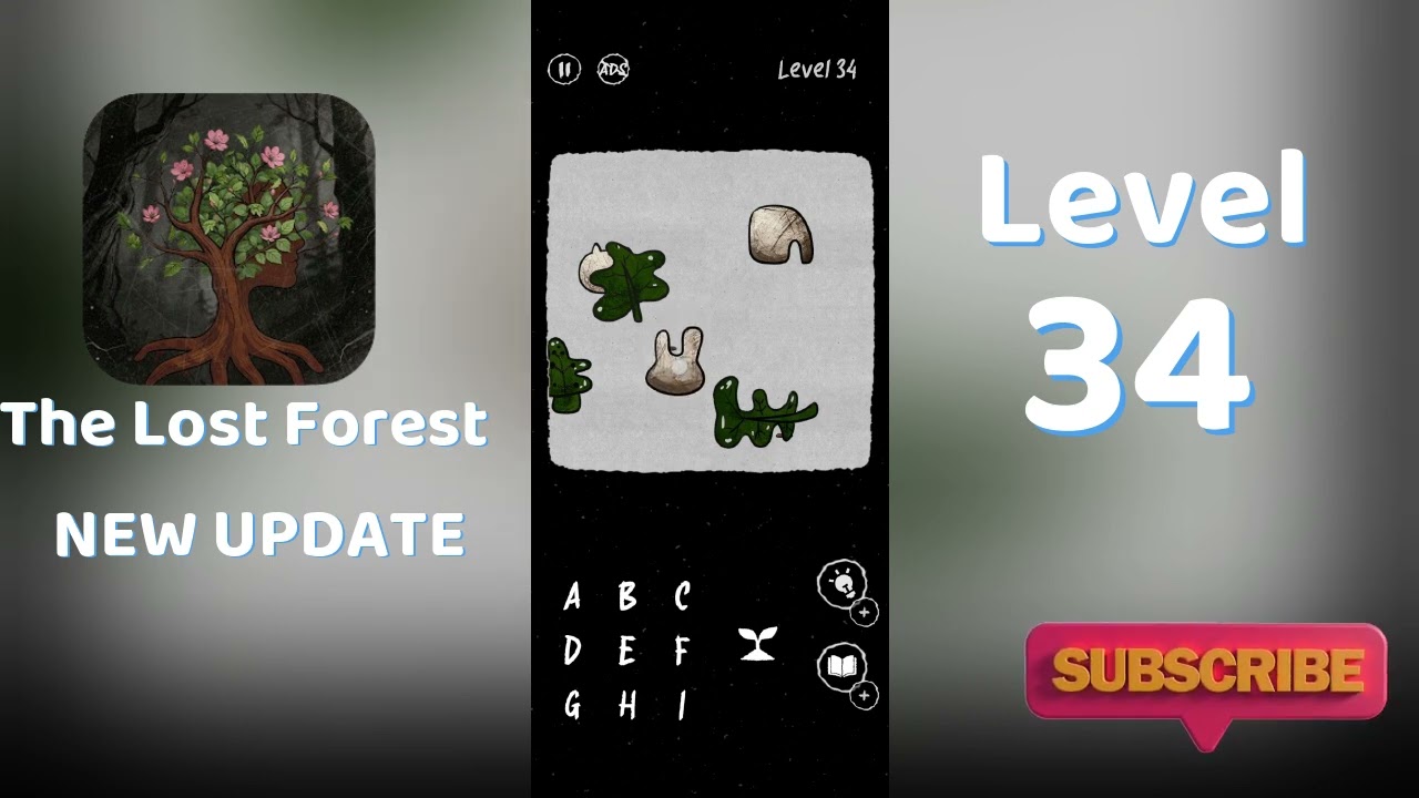 The Lost Forest Puzzle Level 34 walkthrough🌲 | Dream World