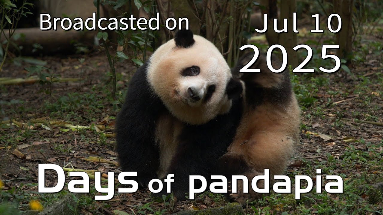 2025/07/23注文分(*」´□`)」f.pandaさんの専用だよー！ 20250710 Broadcast Top Highlights 02 - YouTube