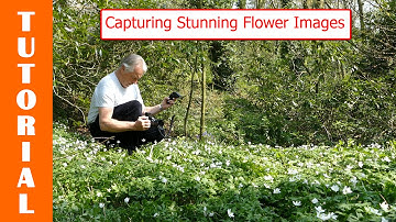 Capturing Stunning Flower Images with the FZ200