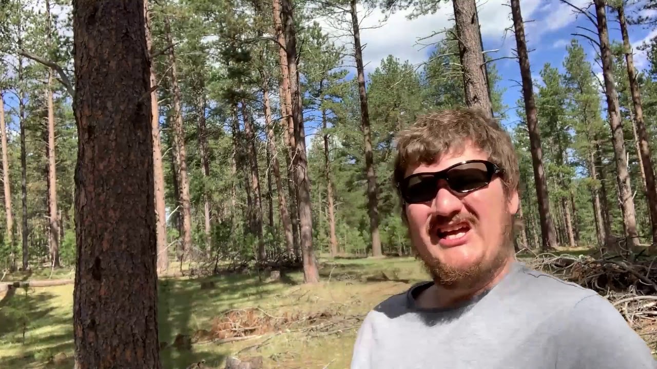 lucky-duckling-flstudio-beatmaker-trapmusic-mixtape-songwriter