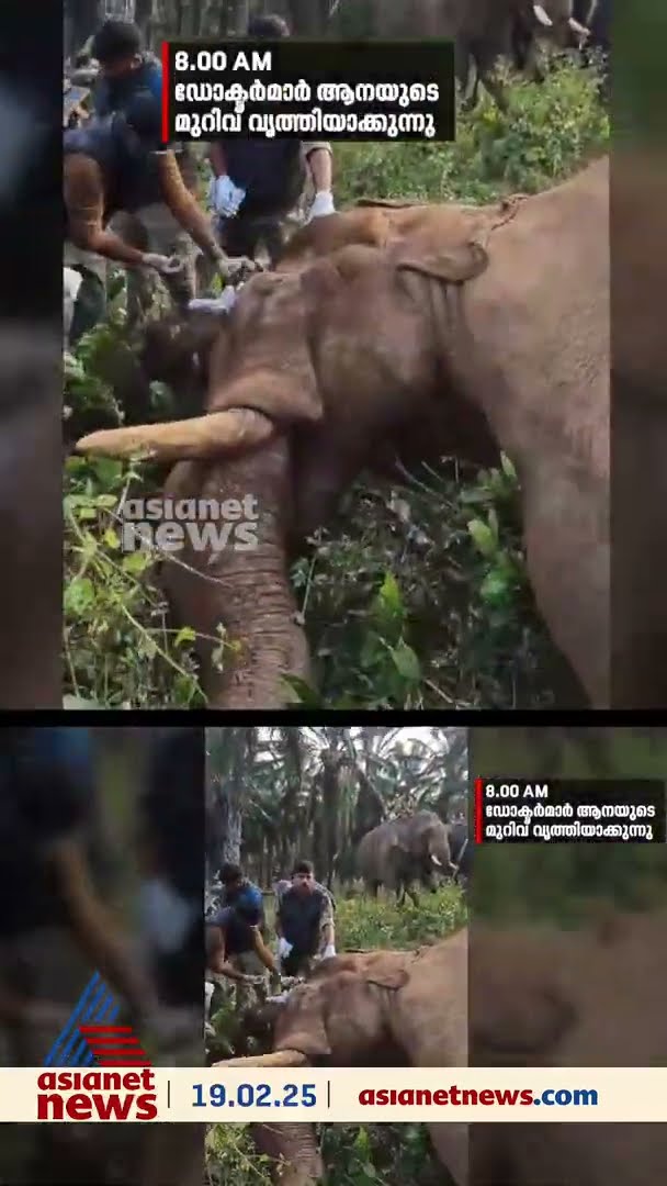 മസ്തകത്തിന് പരിക്കേറ്റ കൊമ്പൻ്റെ ചികിത്സാ ദൗത്യത്തിന്റെ ഇതുവരെയുള്ള വിവരങ്ങൾ ഒറ്റനോട്ടത്തിൽ
