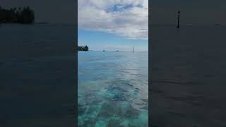 Французская Полинезия — одно из самых очаровательных и наименее загрязненных мест Тихого океана