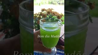 No canal tem receita de suco verde detox