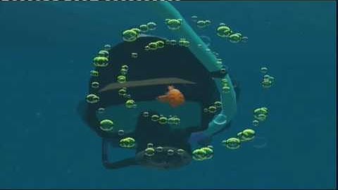 Finding Nemo The Drop Off 1:52.23 WR