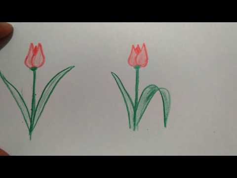 Lale Çizimi ve boyama/ nasıl yapılır / Çocuklar için boyama videoları