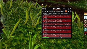 Zygors Guide, Zygor
