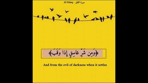 سورة الفلق - ماهر المعيقلي / حالات واتس اب اسلامية
