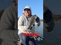 Hunting Rayburn Bass on Live Scope! #fishing #cgwhackem #bassfishing #fishingshorts