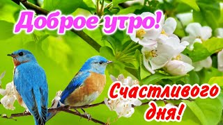 Доброе утро! 🌸  Счастливой вам Весны! 🌺 С Добрым весенним Утром! Красивые пожелания