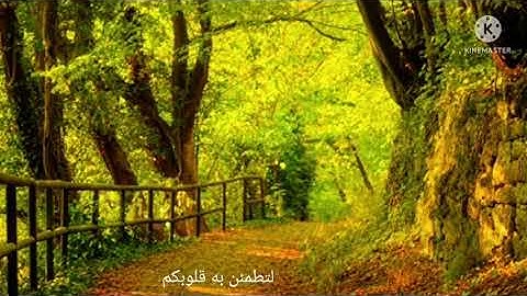 كل شيئ هالك الا وجه... تلاوات رائعة تخشغ لها القلوب...المنشاوي