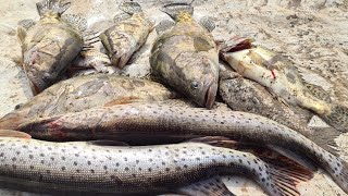 Рыбалка на Амуре 2024 осваиваем новую снасть резинку.