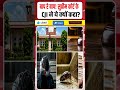 Cockroach Remark || बाप रे बाप! Supreme Court के CJI ने क्यों कहा? || बेरोजगार कॉकरोच! || Dharmendra