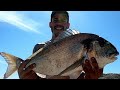 surfcasting (huelva)doradas xxl y corvinas desde espigon