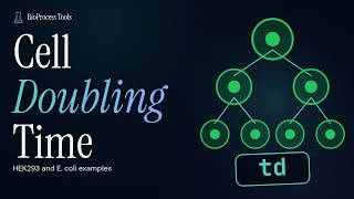 HEK293 Doubling Time & E. coli Doubling Time: How to Calculate It