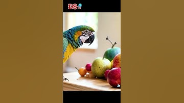 (Buồn Cười Vãi 😂) Vẹt Chọn Đồ Ăn? #đstv #parrot #đờisốngthúvị #birds #funny