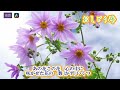 おしどり峠~Cover 窪田臣男(オリジナル歌手~北島三郎)