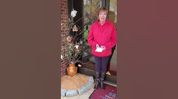 Robin Rowland - Jesse Tree