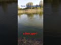 стафф Уран обожает воду