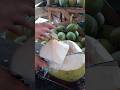 coconut wasting🌴🥥 #coconutcuttingskills #fruit #coconutrefreshment #coconut #satisfying #food