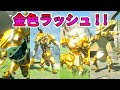 【ゼルダの伝説】金色ラッシュ！ボスラッシュ！！【実況プレイ】#282 ブレスオブザワイルド Nintendo Switch