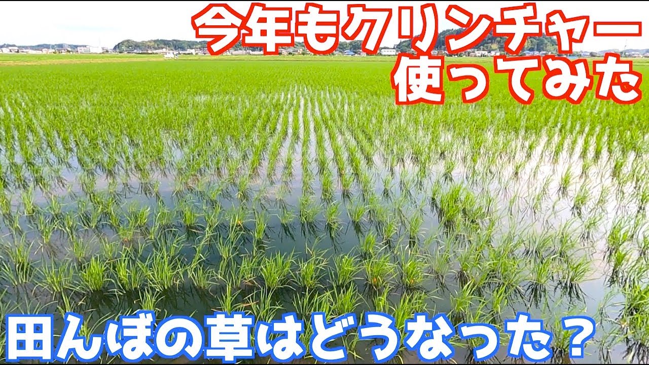1町歩の田んぼの草が気になるので、クリンチャー使ってみたら？その後どうなったの？