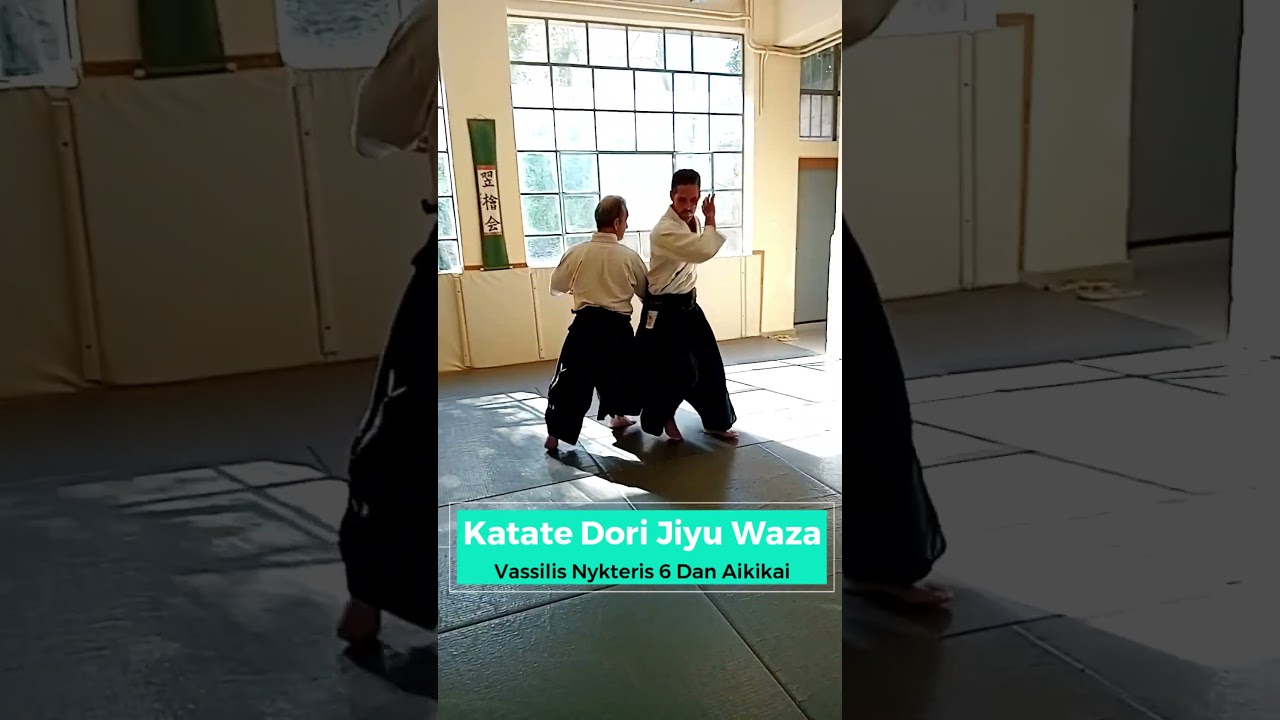 08.10: Katate Dori Jiyu Waza with Sensei Vassilis Nykteris 6 Dan Aikikai Hombu Dojo 