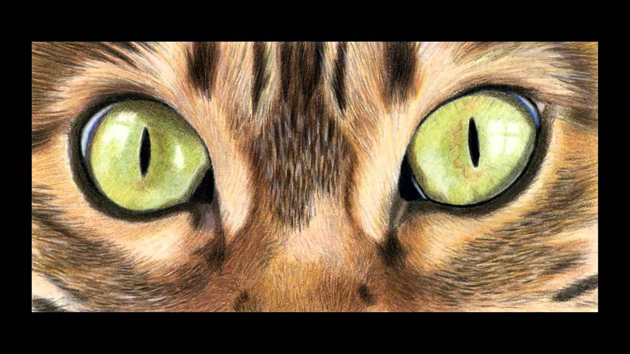 Incredible Realistic Pencil Drawings