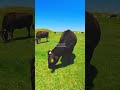 絶対に行くべき四国の絶景 四国カルスト が最高すぎる 絶対に行くべき四国の絶景 四国カルスト が最高すぎる