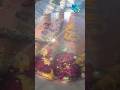 Resin garland preservation | Resin keepsake | customised frame | unique gifts | resin frame | gifts