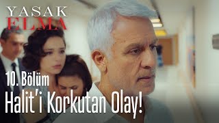 Halit'i korkutan olay! - Yasak Elma 10. Bölüm