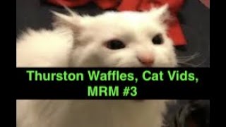 Thurston Waffles, MRM #3: Relaxing Copyright Claim Edition!