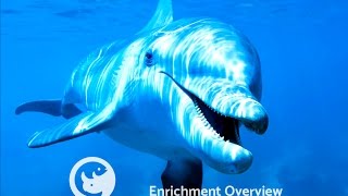Enrichment 1 of 6: Enrichment Overview
