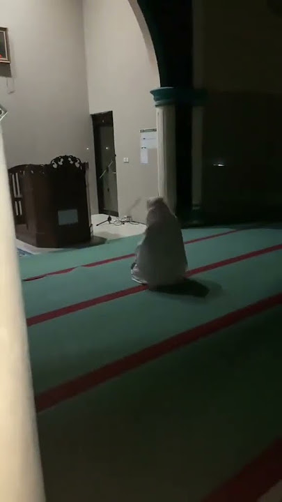 SHOLAT GERAKAN ANEH!!??