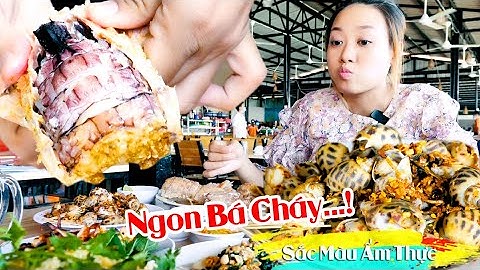 Quán Hải Sản Ngon, Rẻ Ít Ai Biết tại bãi trước TP. Vũng Tàu | Sắc Màu Ẩm Thực. fresh seafood