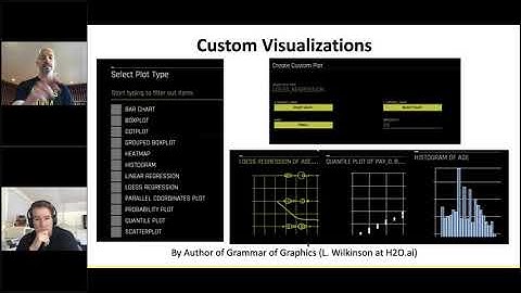 Custom Visualizations - What the Future of AI Looks Like: H2O Driverless AI 1.9.0