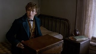 Fantastic Beasts and Where to Find Them  Announcement Trailer [HD]